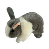 Peter (Bunny - 25cm standing, grey and white)