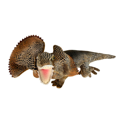 Philly - Frilly Neck Lizard - 34cm