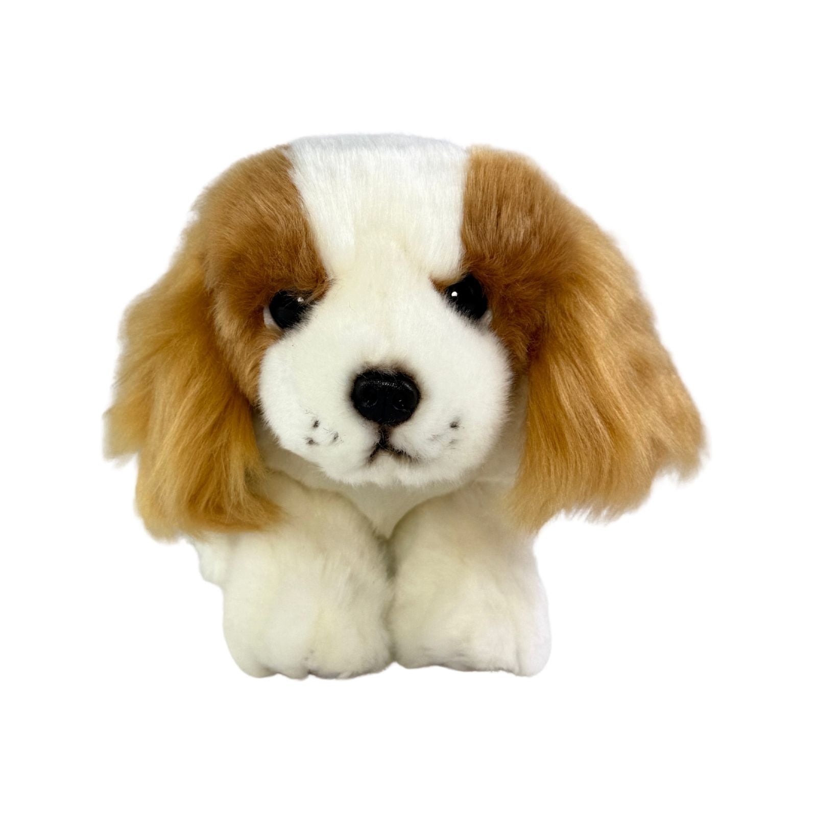 Phoebe Cavalier King Charles plush front view