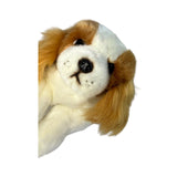 Phoebe Cavalier King Charles plush close up face