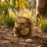 baby echidna soft small handcrafted realistic plush toy in a wild