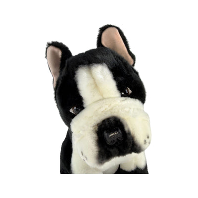 Pierre (French Bulldog - 30cm sitting, black & white)