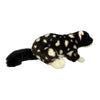 A Black Eastern Quoll a realistic soft plush toy