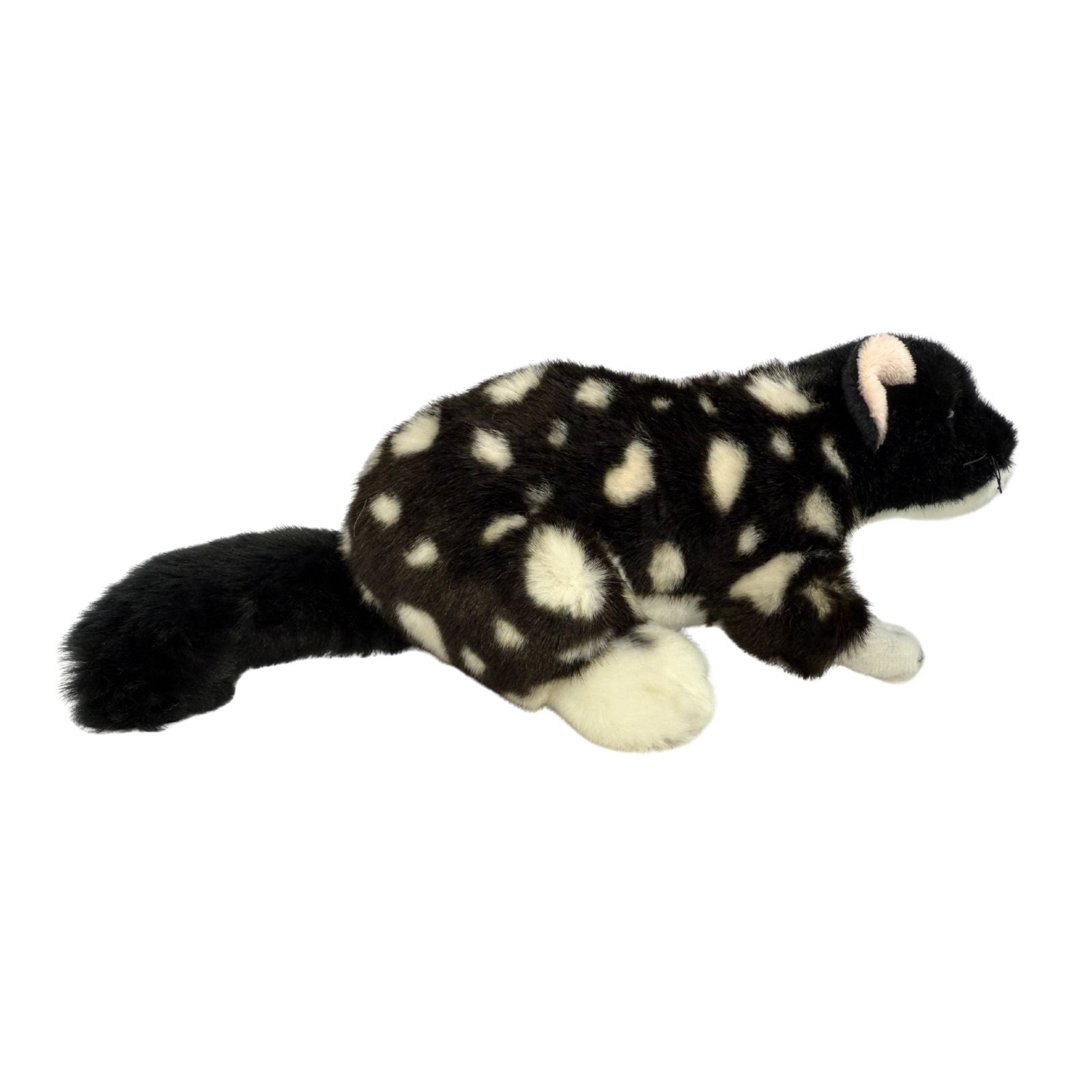 A Black Eastern Quoll a realistic soft plush toy