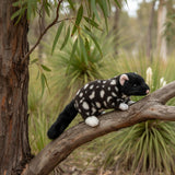A Black Eastern Quoll a realistic soft plush toy in tree