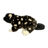 A Black Eastern Quoll a realistic soft plush toy