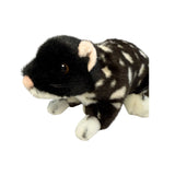 A Black Eastern Quoll a realistic soft plush toy