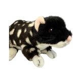 A Black Eastern Quoll a realistic soft plush toy