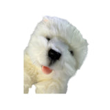 Pookie Westie plush close up face