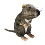 Plush toy Kangaroo rat on a white background