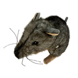 Plush toy Kangaroo rat on a white background