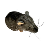 Plush toy Kangaroo rat on a white background