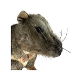 Plush toy Kangaroo rat on a white background