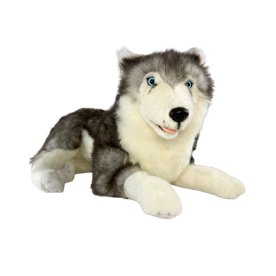 Rocco (Husky - 62cm lying)