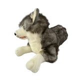 Rocco Husky plush lying