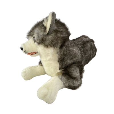 Rocco (Husky - 62cm lying)