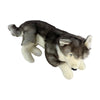 Rocket - Husky with satin pocket - 62cm lying