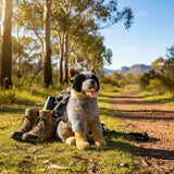 Rocky Blue Heeler plush sitting on forest trail beside hiking gear