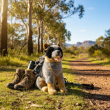 Rocky Blue Heeler plush sitting on forest trail beside hiking gear