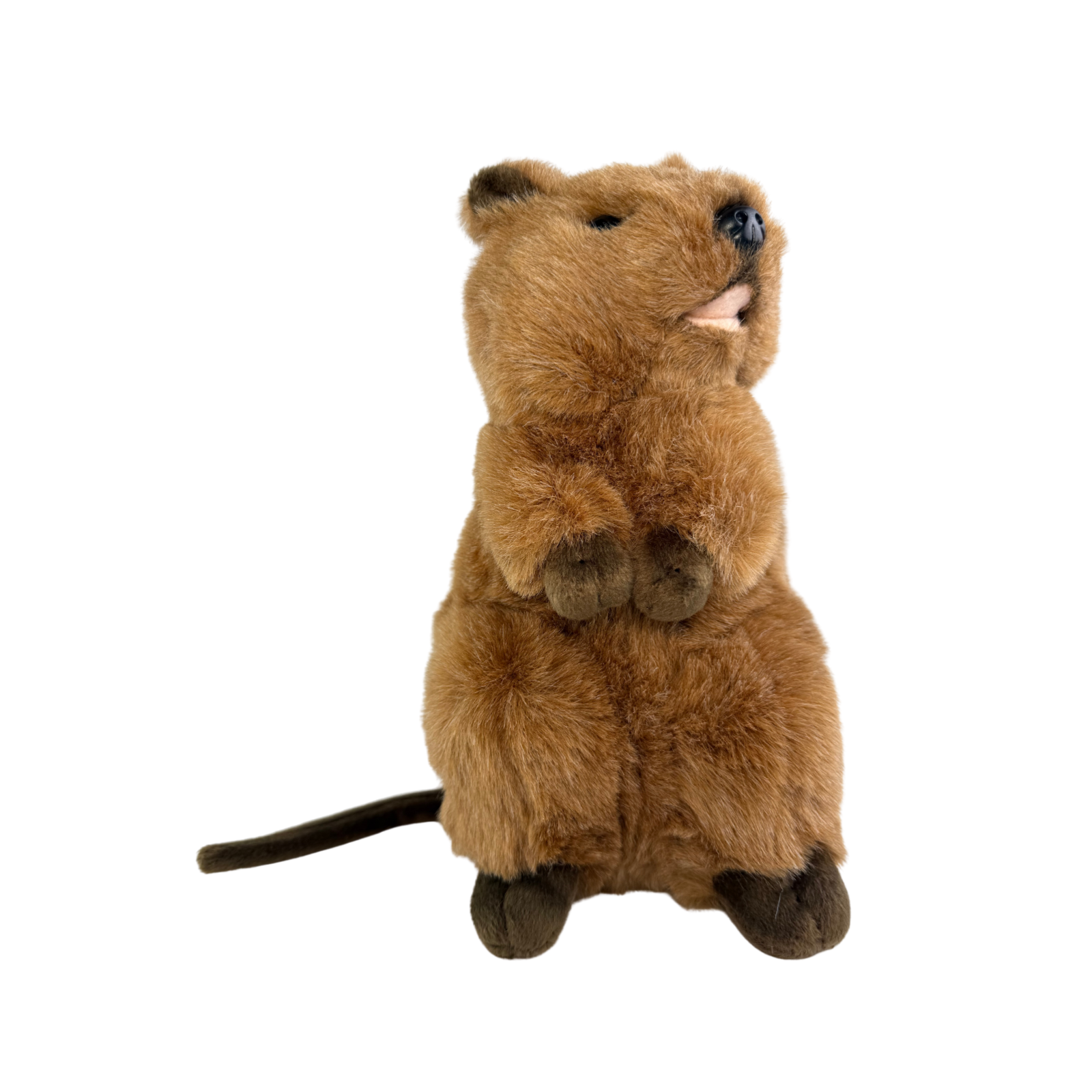 Plush toy beaver standing on a white background