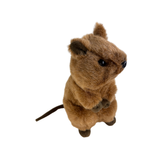 Plush toy beaver on a white background