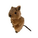 Plush toy beaveron a white background