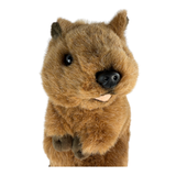 Plush toy beaver on a white background