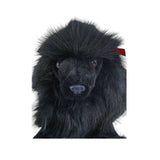 Romeo black Poodle plush close up face