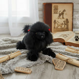 Romeo black Poodle plush crouching on blanket with scrolls, tablets, and books.
