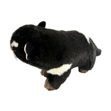 A plush toy of a Tasmanian devil is captured from a high-angle, three-quarter view against a plain white background.