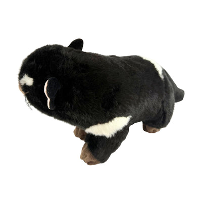 Rupert (Tasmanian Devil - 30cm)
