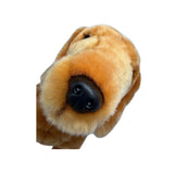 Sadie Dachshund plush close up face