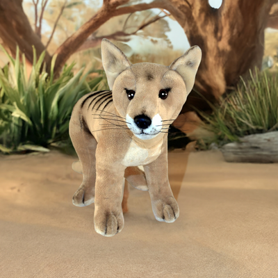 Sammy (Tasmanian Tiger - 24cm)