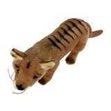 Tasmanian Tiger plush toy