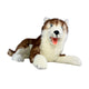 Scarlet Husky plush toy lying front view