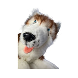 Scarlet Husky plush toy close up face