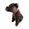 Scooter (Staffy - 32cm sitting, brindle)