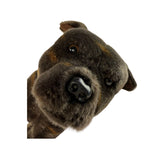Scooter Staffy plush toy close up face