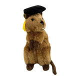 Sheldon quokka plush wearing graduation hat