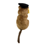 Sheldon quokka plush wearing graduation hat