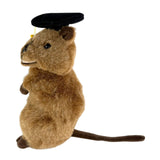 Sheldon quokka plush wearing graduation hat