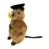 Sheldon quokka plush wearing graduation hat