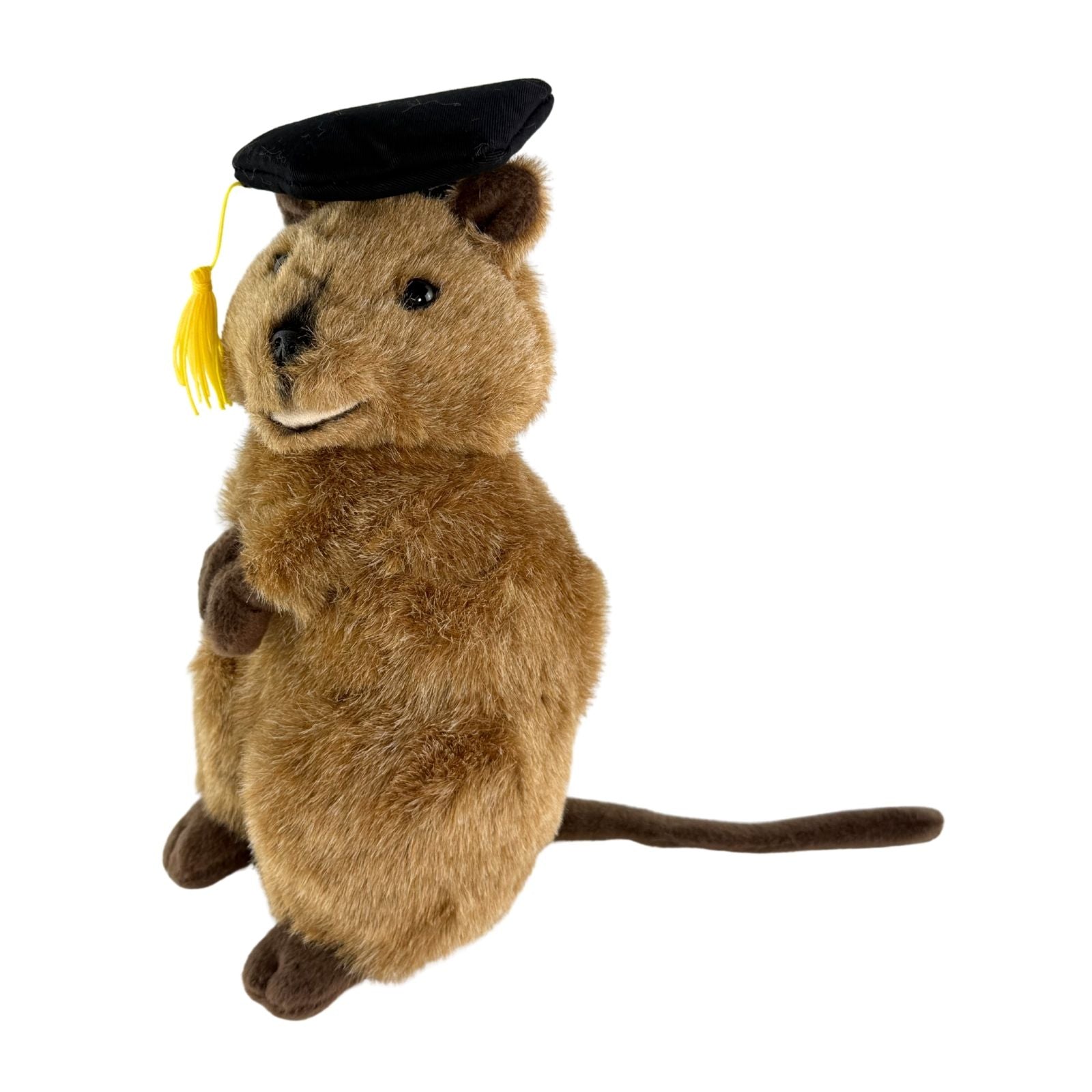 Sheldon quokka plush wearing graduation hat