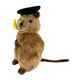 Sheldon quokka plush wearing graduation hat
