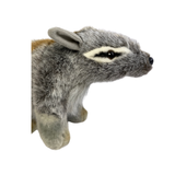 Plush toy of a Numbat on a white background