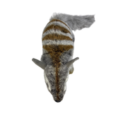 Plush toy resembling a Numbat on a white background