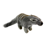 Plush toy of a Numbat on a white background