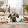Smokey (Lop Eared Rabbit - 25cm sitting, grey)