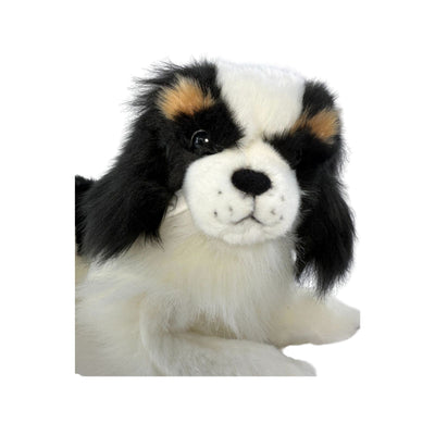 Snuggles (Cavalier King Charles Spaniel - 40cm lying)