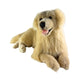 Spencer Golden Retriever plush toy lying